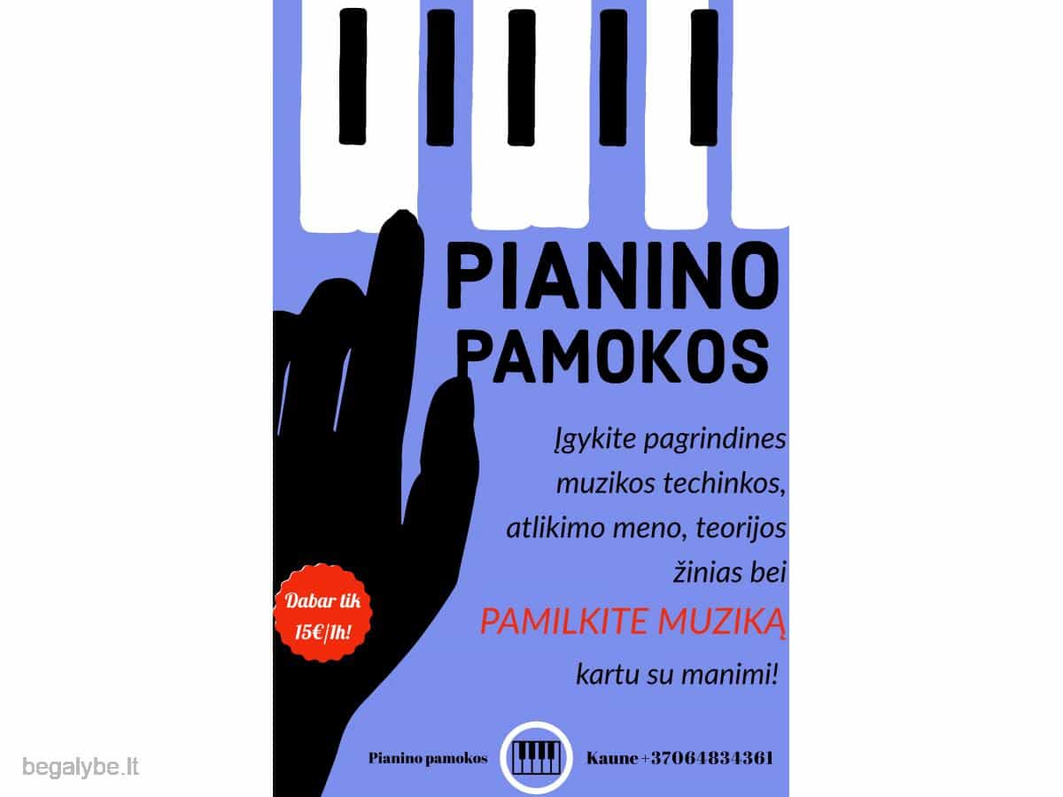 Individualios pianino pamokos - 2/5
